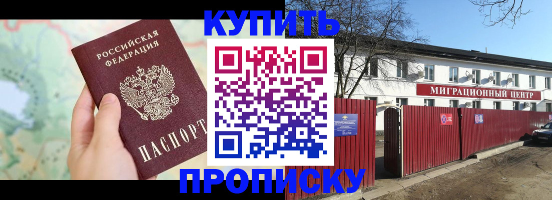 прописка в квартире в Стародубе